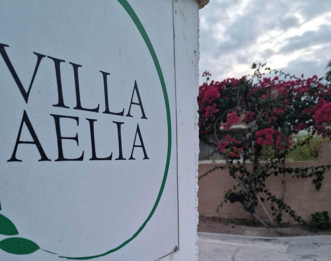 Aelia House Kefalos - Cozy & Quiet エクステリア 写真